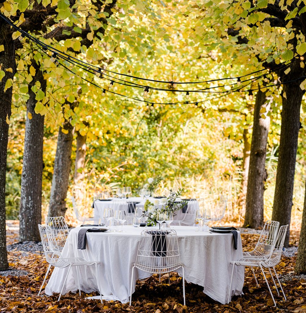 een inspiratie artikel over het perfecte diner organiseren met verhuur materialen van spijkerman evenementenverhuur